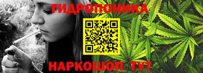 наркотики Дубна