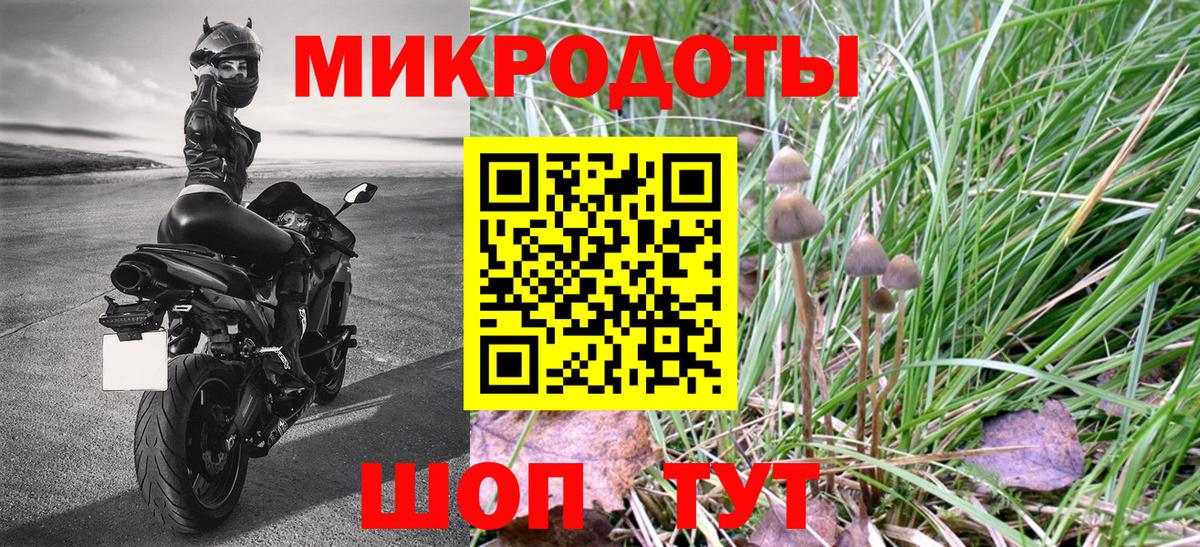 Псилоцибиновые грибы GOLDEN TEACHER Назарово