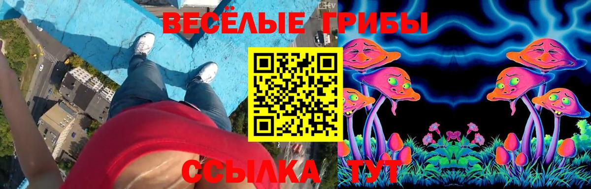 Псилоцибиновые грибы ЛСД  Вход с VPN  Назарово  Галлюциногенные грибы мицелий 